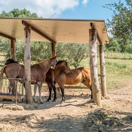 Agriturismo Goccia Di Luna Умбертиде Экстерьер фото