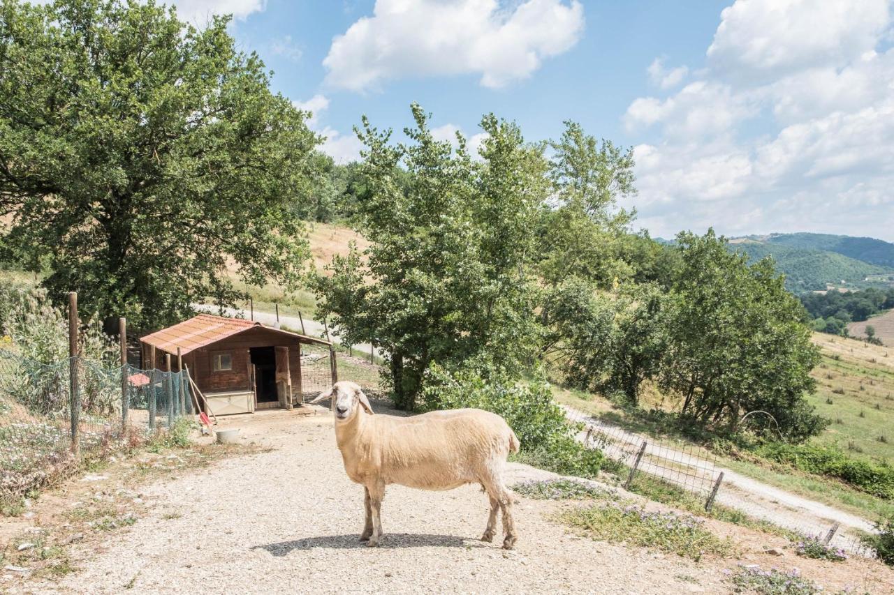 Agriturismo Goccia Di Luna Умбертиде Экстерьер фото