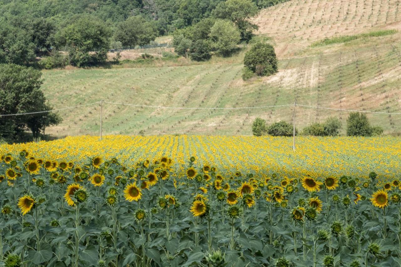 Agriturismo Goccia Di Luna Умбертиде Экстерьер фото