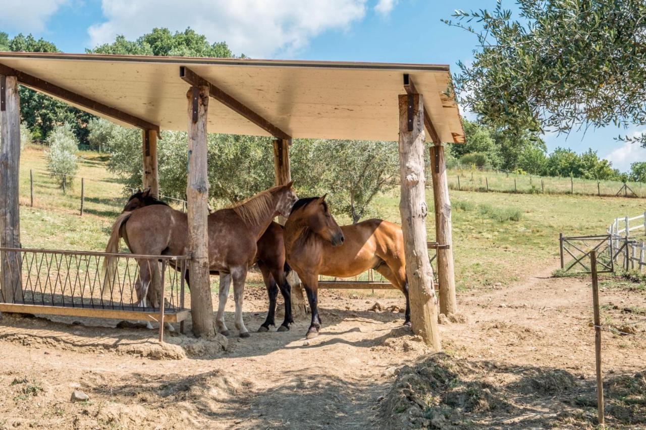 Agriturismo Goccia Di Luna Умбертиде Экстерьер фото