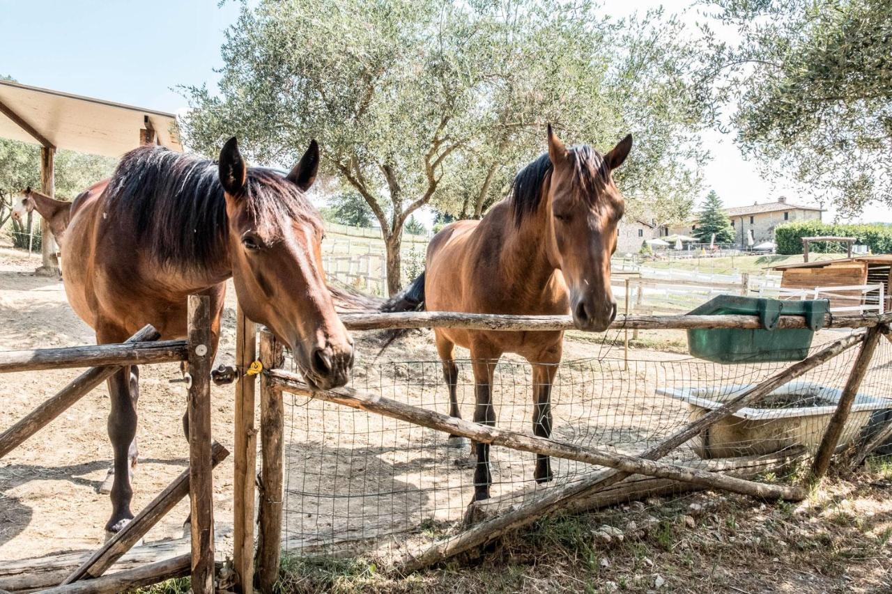 Agriturismo Goccia Di Luna Умбертиде Экстерьер фото
