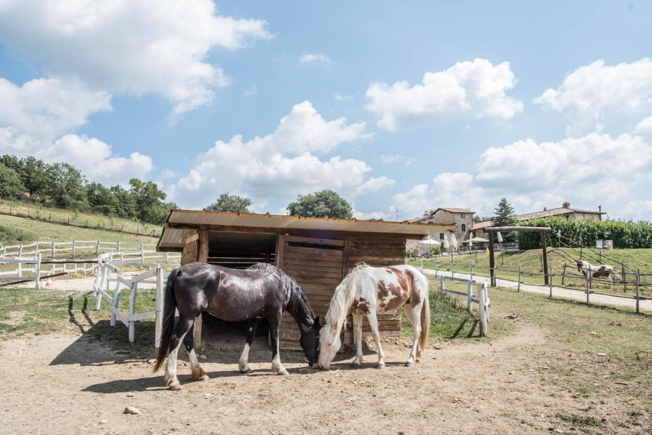 Agriturismo Goccia Di Luna Умбертиде Экстерьер фото